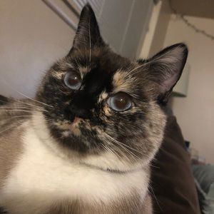 Meet your Posher, Nicole